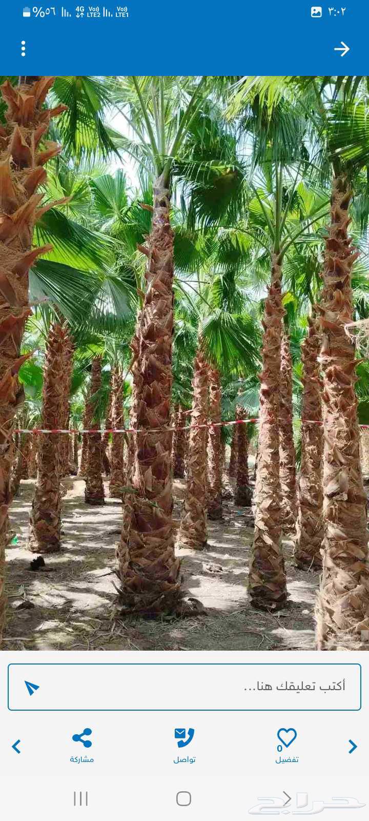 قلع وغرس النخيل وتنسيق الحدايق64217876623874113
