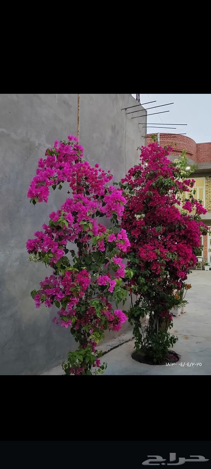 Farmer and landscape coordinator64225452322433112