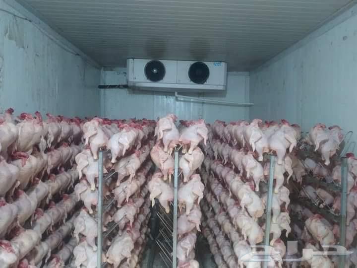 غرف تبريد و تجميد مستودعات تبريد انفاق تجميد64217170091010111