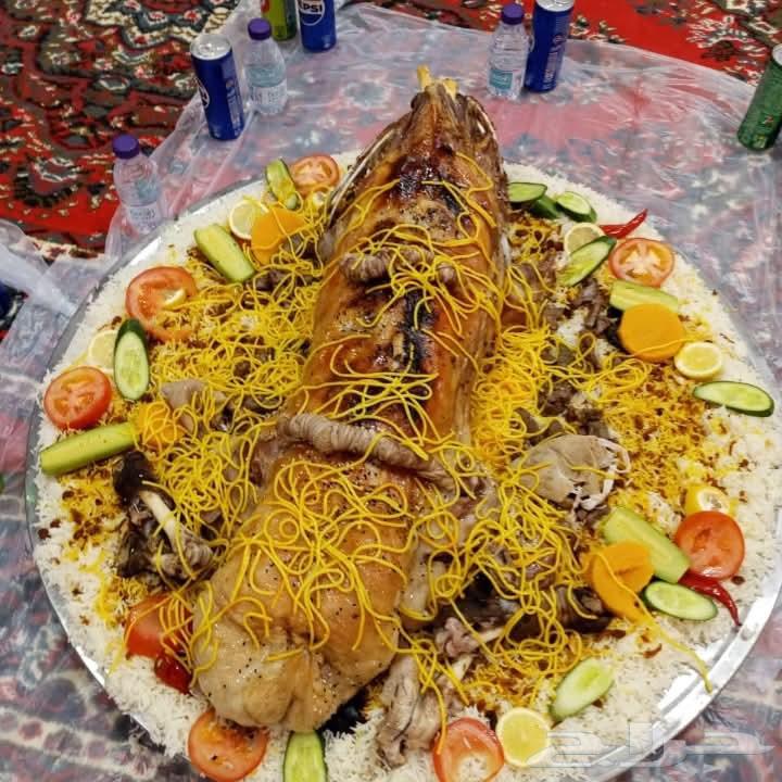 طباخ متنقل داخل وخارج الرياض طبخ بانواعة شعبي مسلوق تحمير اي64218306594946112