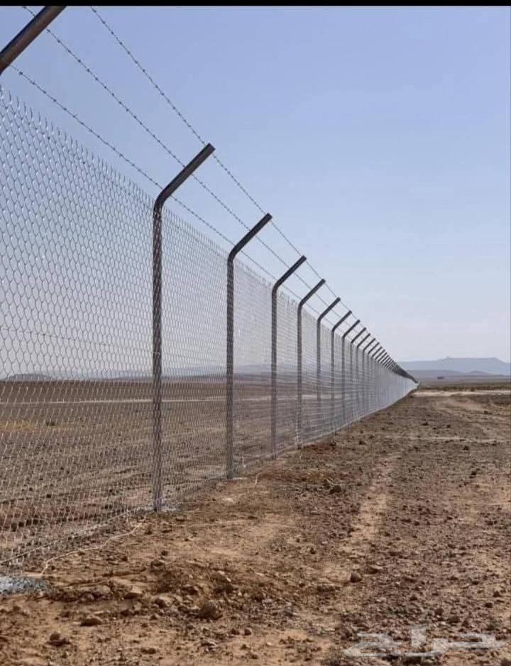 Fencing farms, lands, and playgrounds, supplying and planting Arabian palm trees64217408213891113