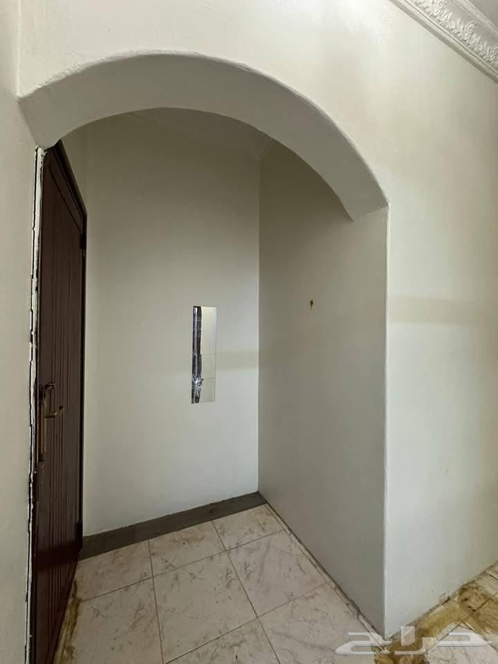 معلم دهان بتبوك64225271664259114