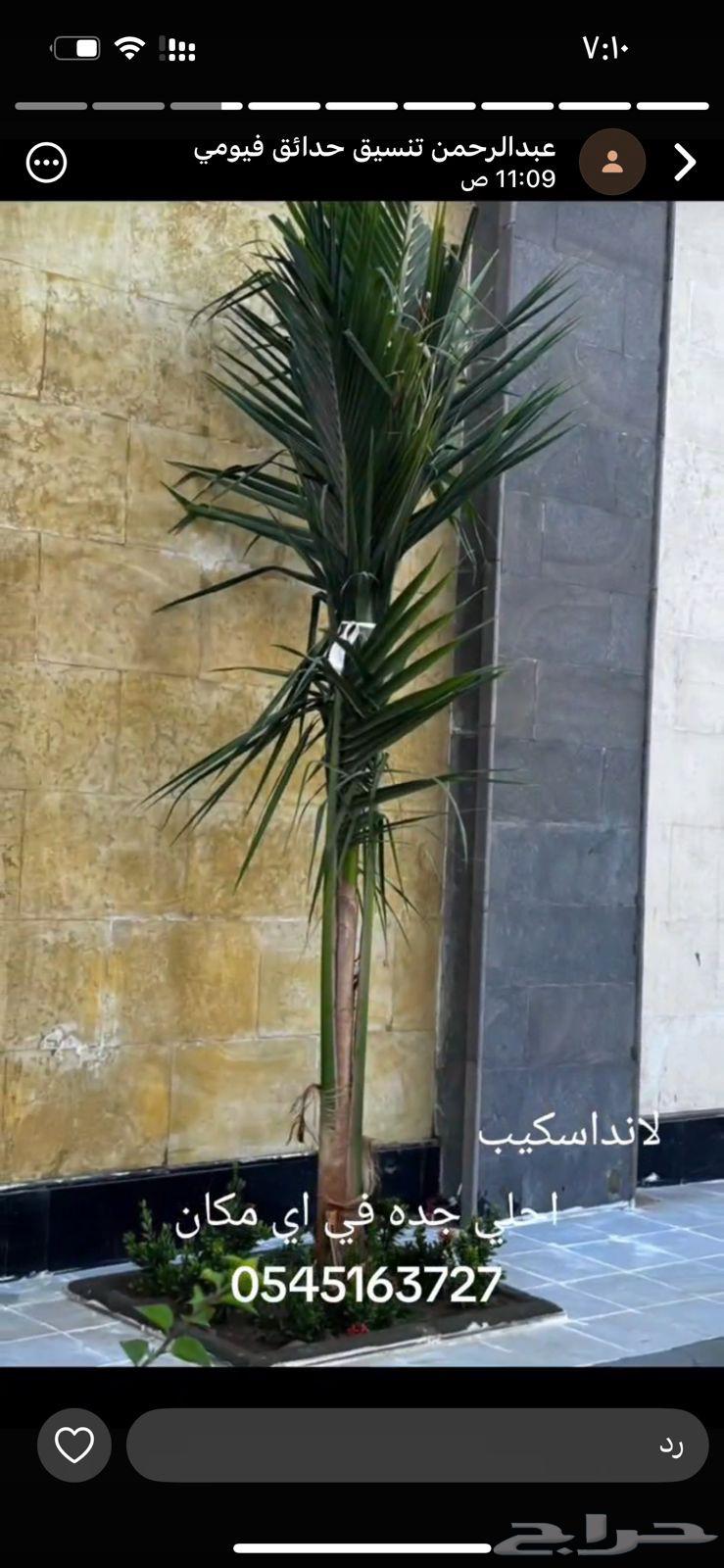 Hello and may the mercy and blessings of God be upon you, experience is not something everyone has64217169623681114