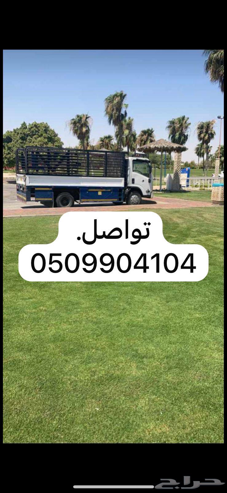 Taxi service for trips inside and outside Riyadh64225269717761110