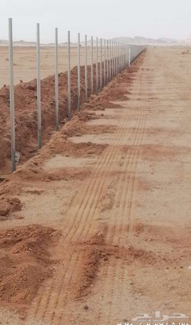 توريد وتركيب جميع انواع الشبوك توريدنخيل عربي واشنطني64216704203139112