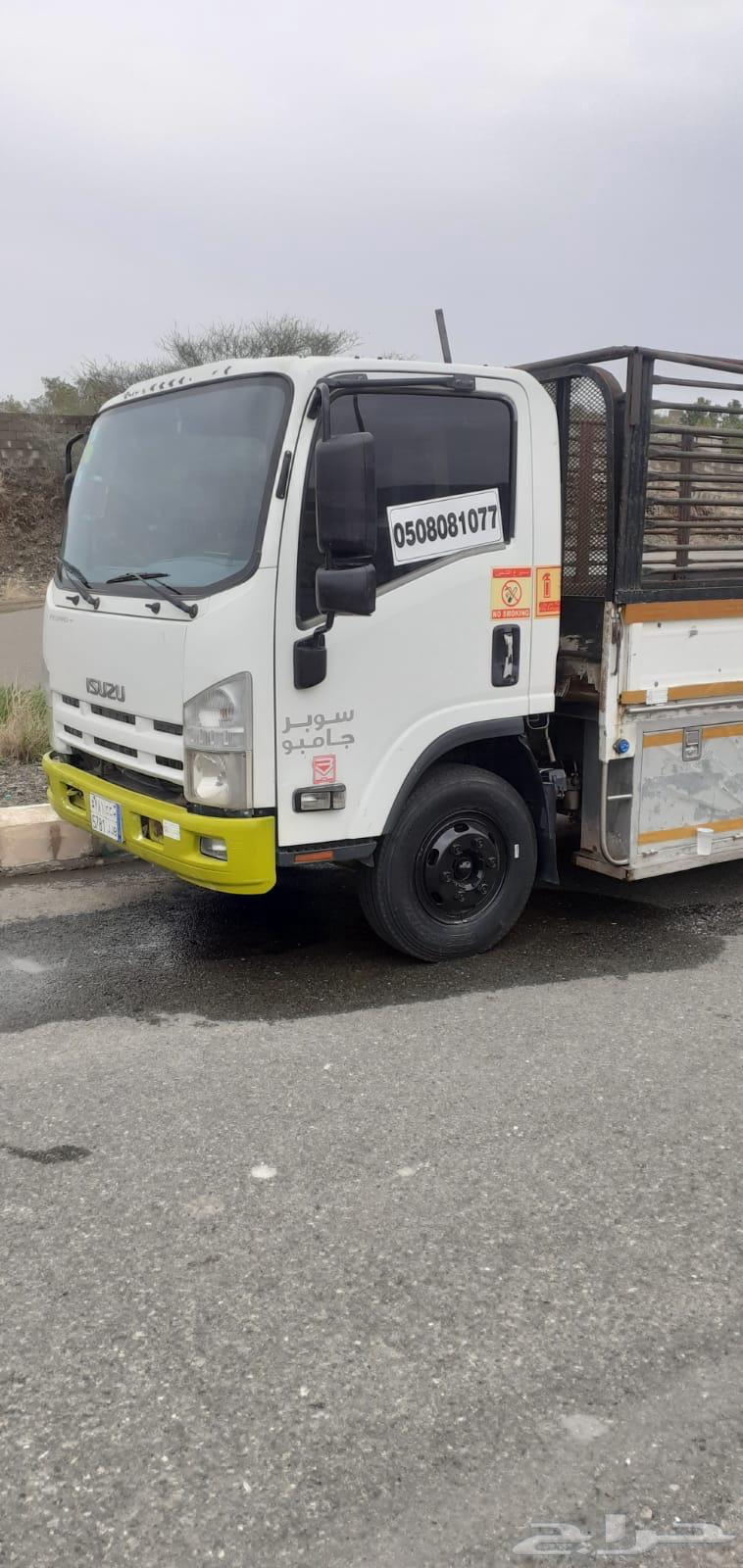 دينه نقل عفش نحل غنم64216945360771110