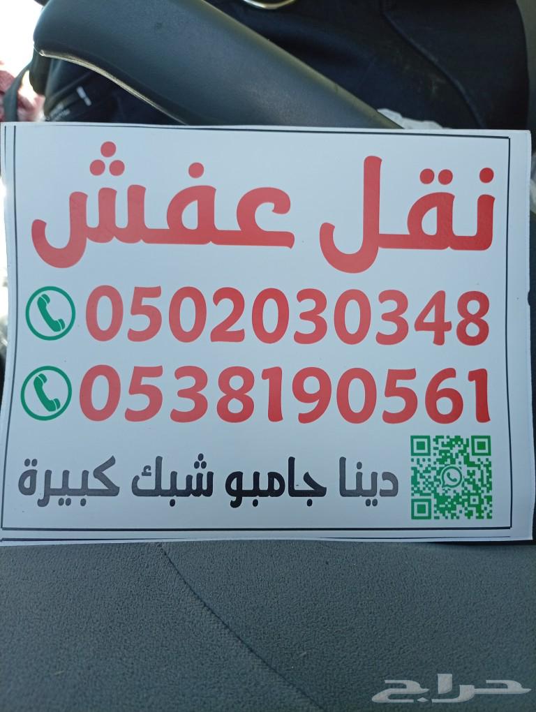 دينا اسيزوا 2023 شبك كبير64217647842946110