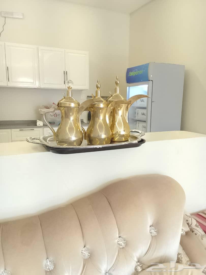 قهوجي مكة64218305631875113