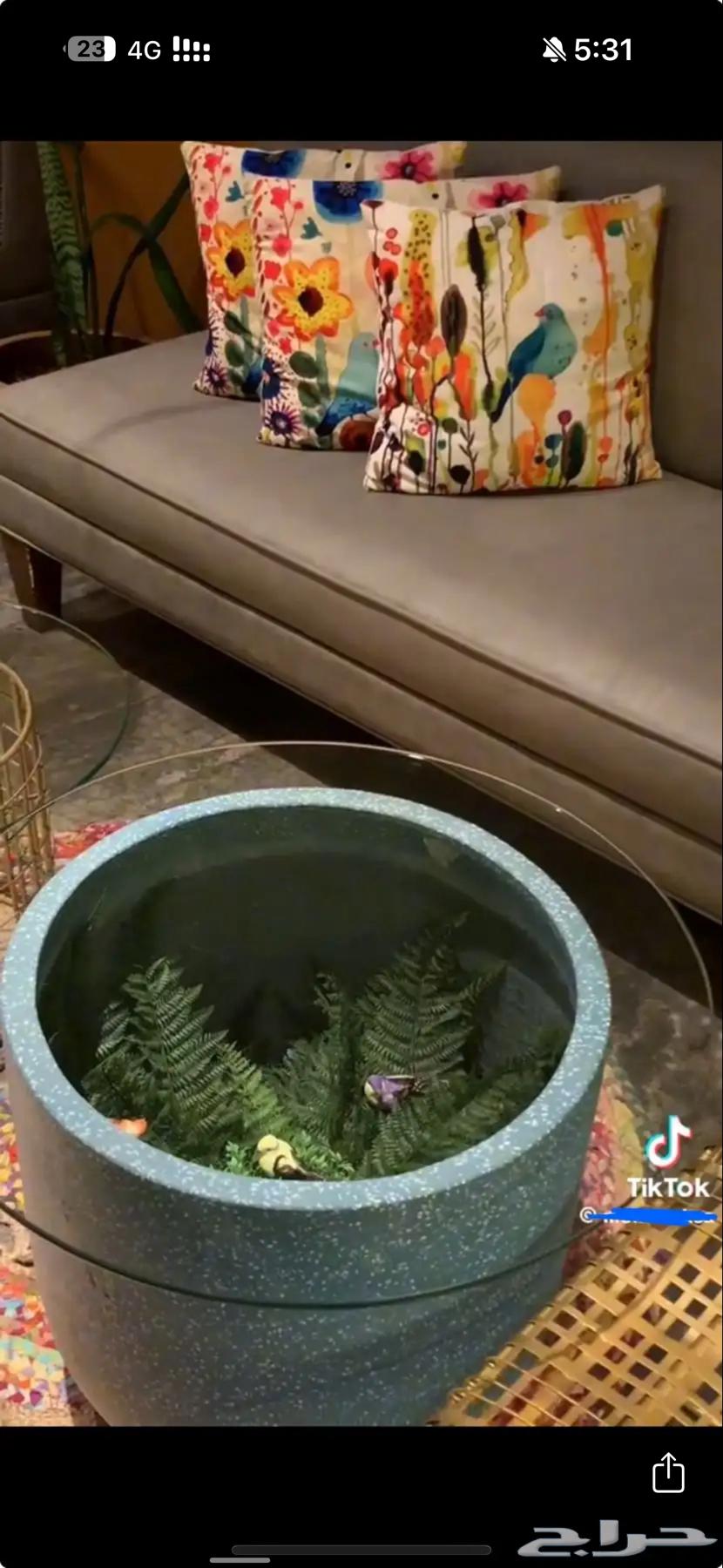 كافي للتقبيل عنييزة64217160773761113