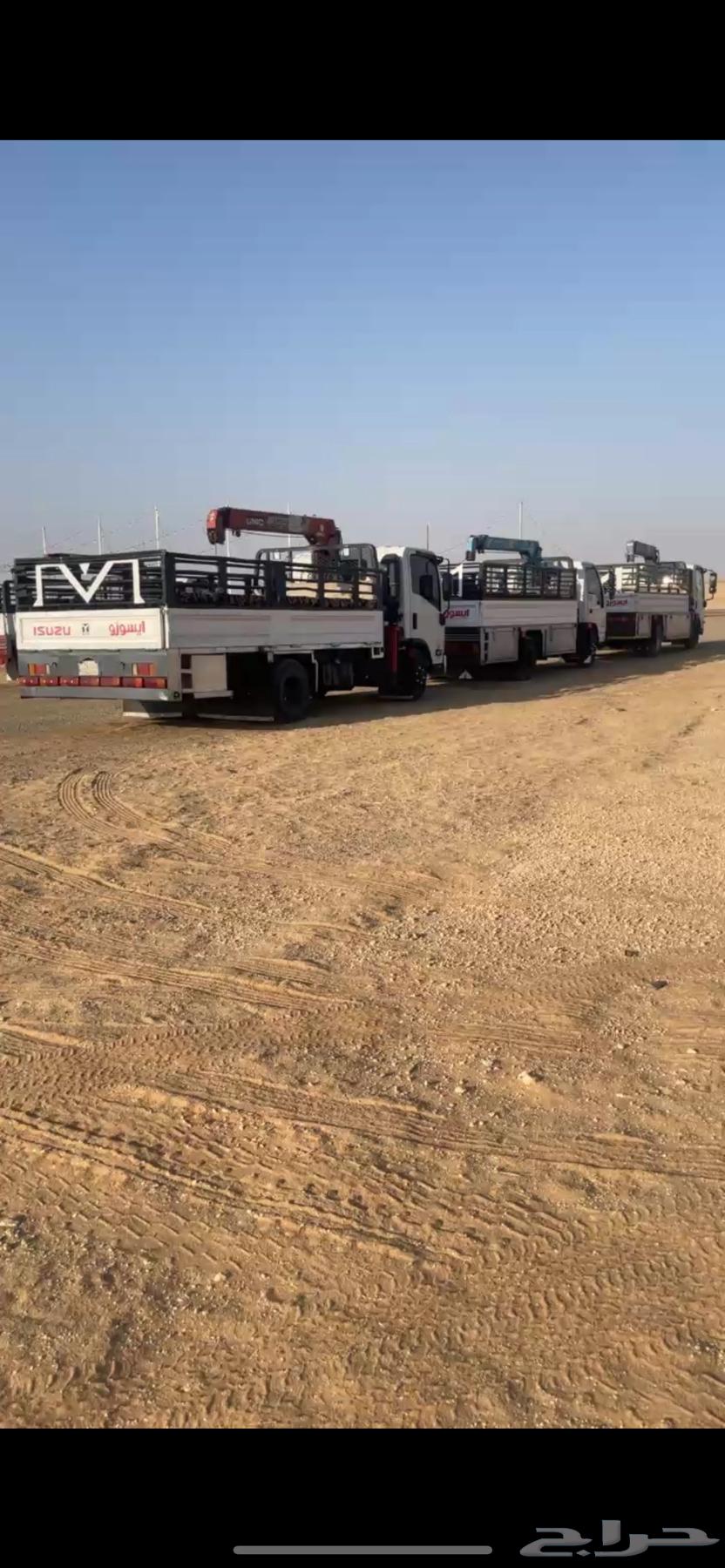 دينا مشاوير64218074173826110