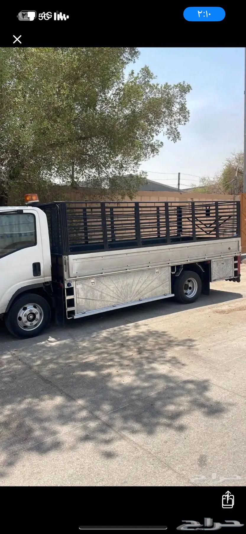 دينا نقل عفش64216704939139110