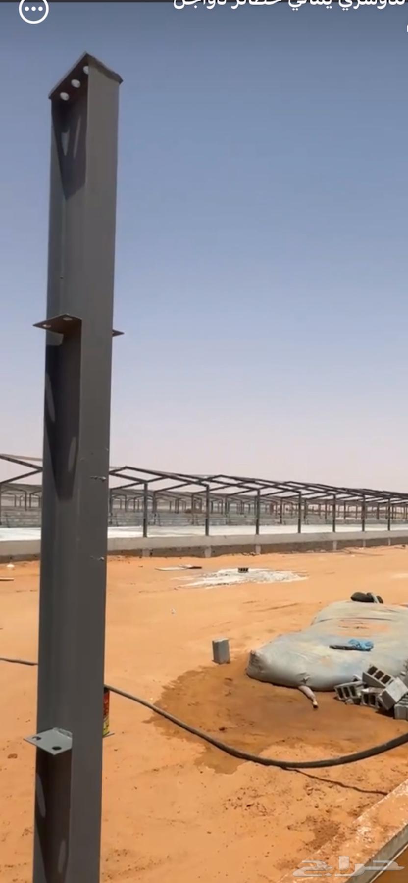 انشاء حظائر الدواجن توريد وتركيب بموصفات الحديثه64225273453058114