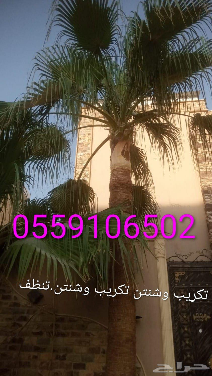 202664239759357186113