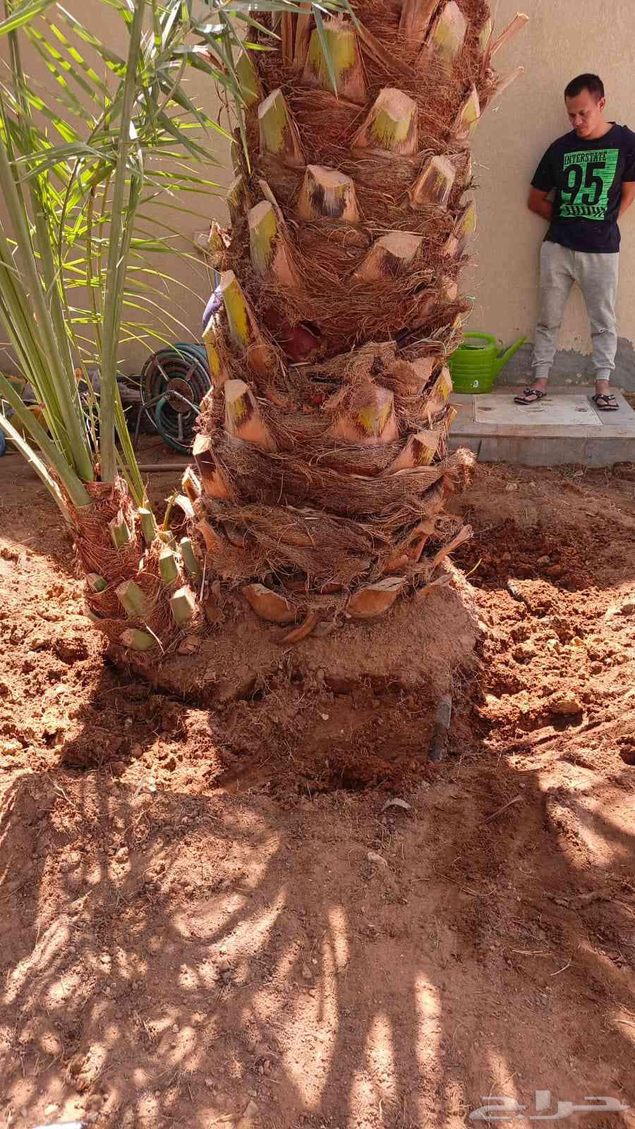 202664239759357186111