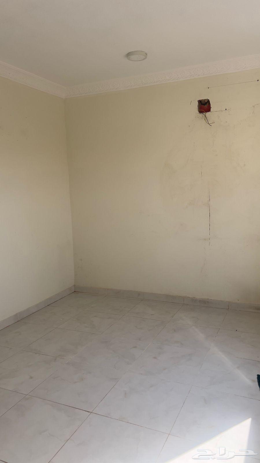 شقة للإيجار