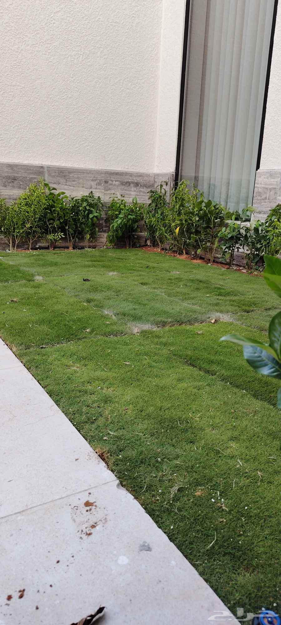 قص ثيل طبيعي64225065419265114