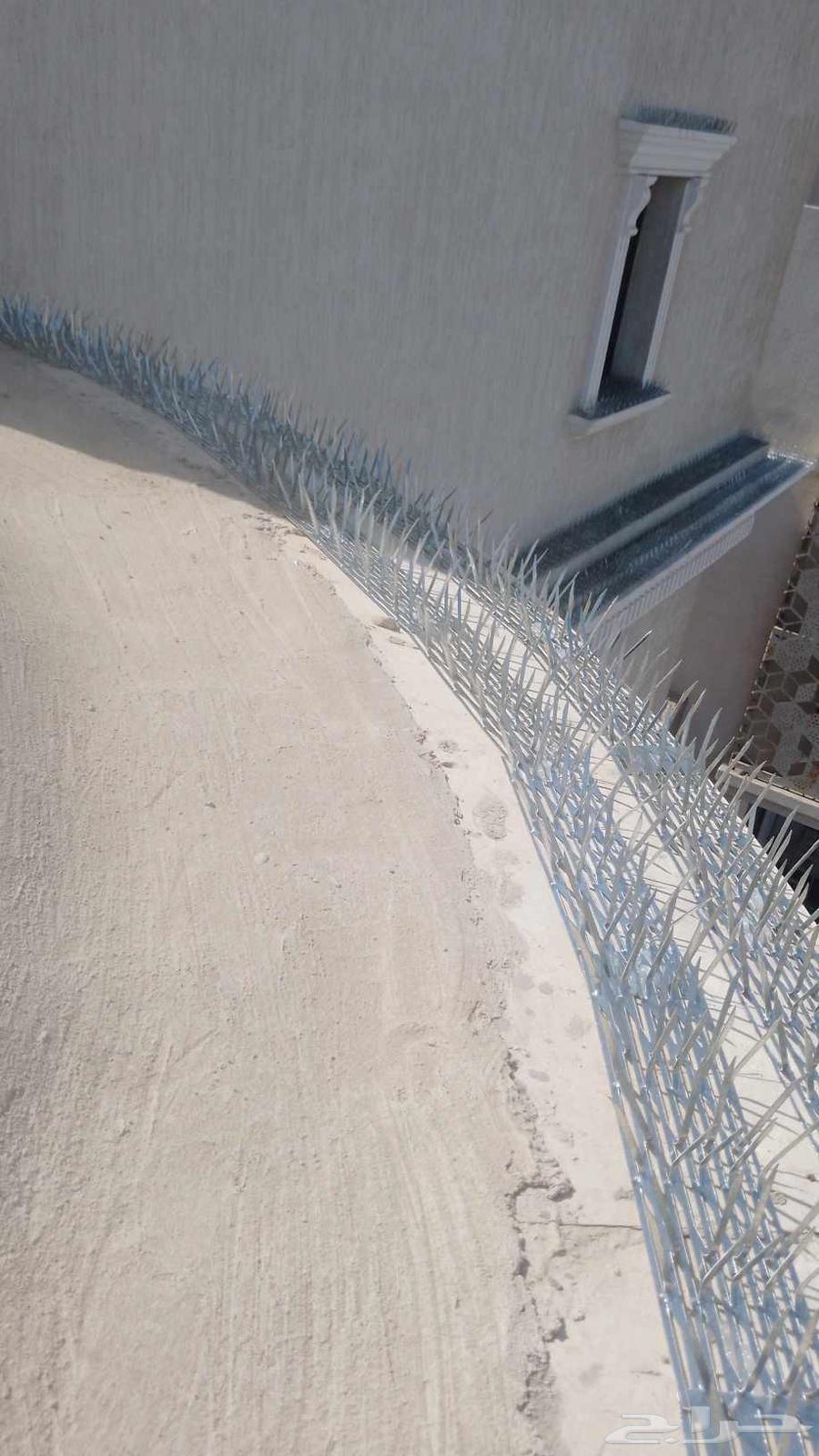 Pigeon Deterrent Installation Company in Jeddah, Pigeon Spikes, Pigeon Netting Installation64216706453122112