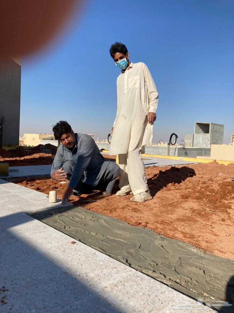 معلم بلات بورسلان سلاميك سلامك بورسلان أرضي وجدران قيشاني رو64225641817986114