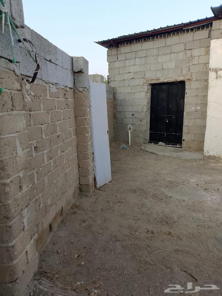 تويوتا حوش غرفتين64216936844035111