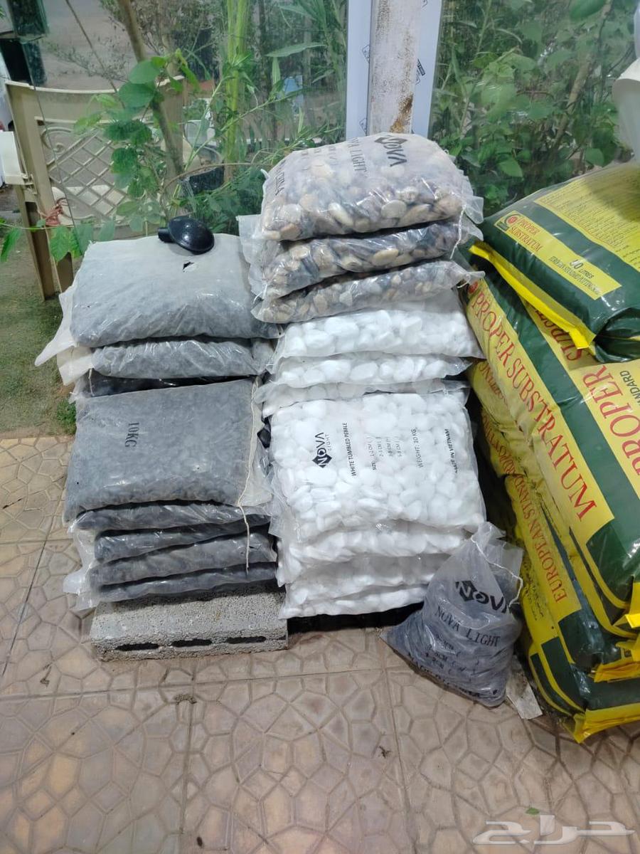 سباك زراعي ومشتل لتنسيق الحدائق64225272933634111