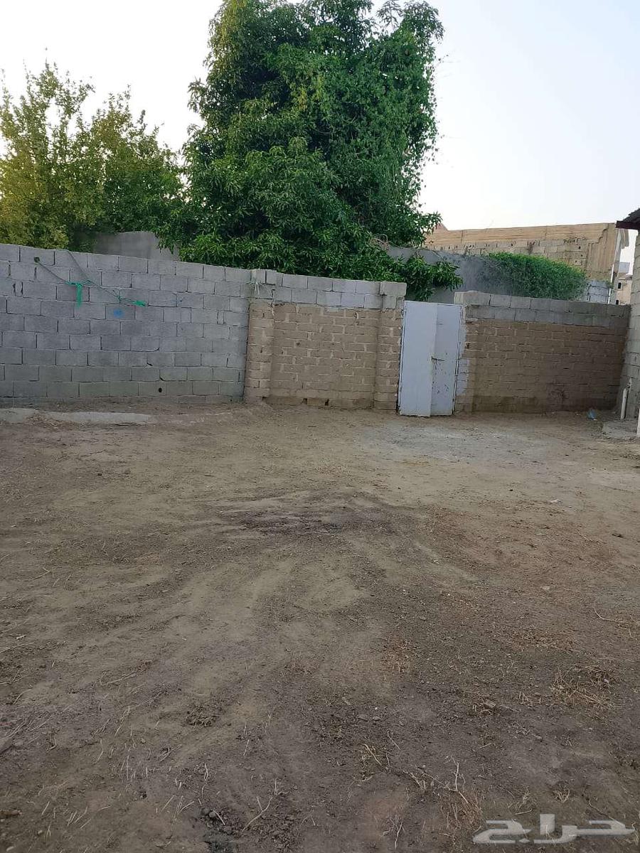 تويوتا حوش غرفتين64216936844035110