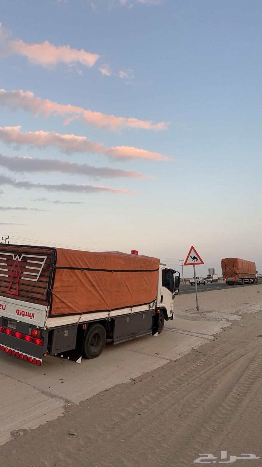 دينه نقل توصيل جميع أنحاء المملكه64228636735747111