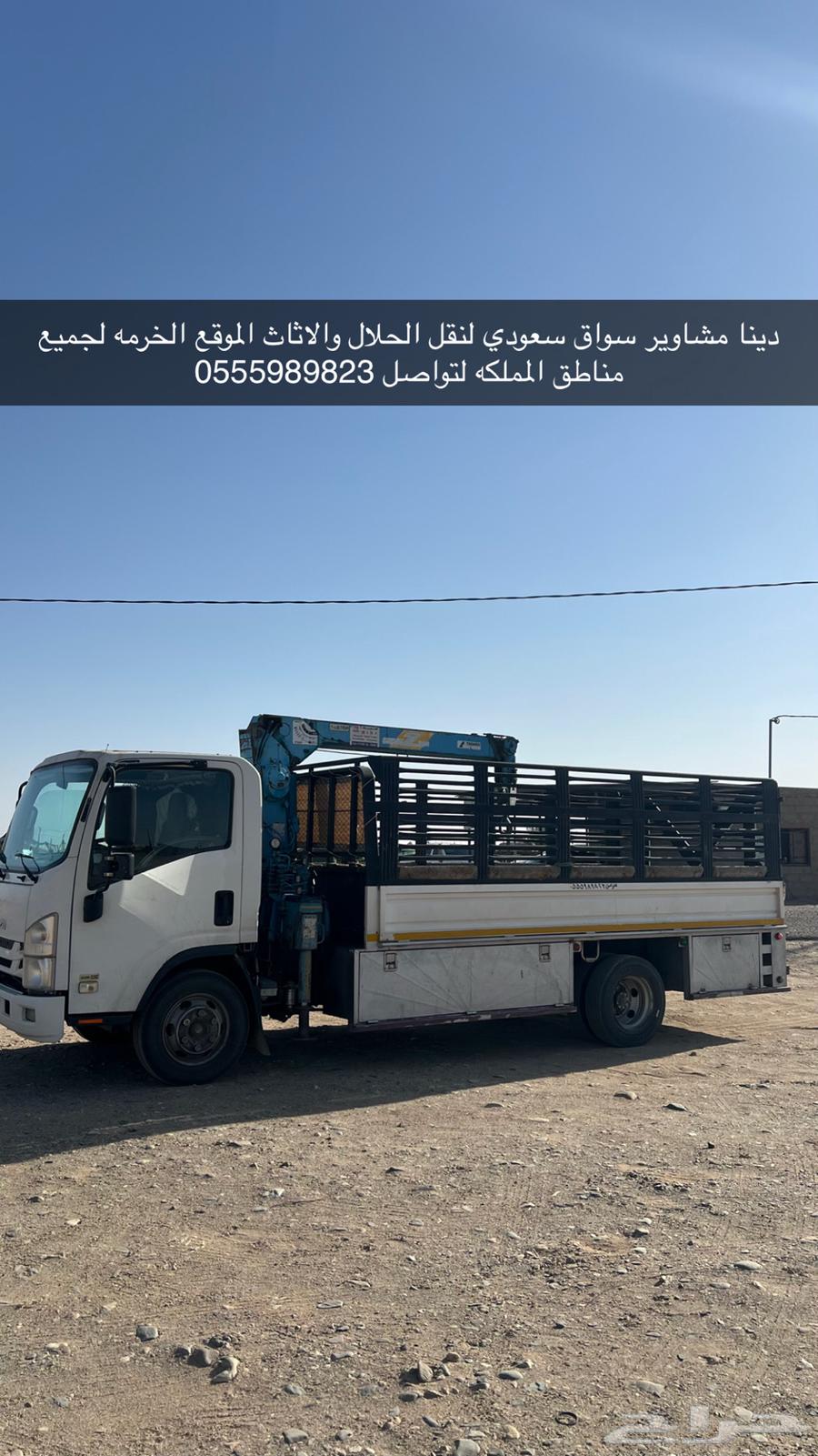 دينا مشاوير64228826921473110