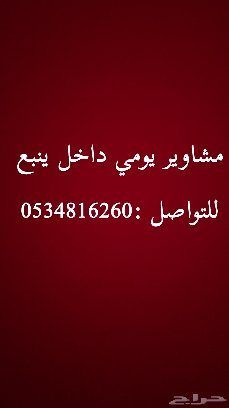 Daily trips within Yanbu64229181078913110