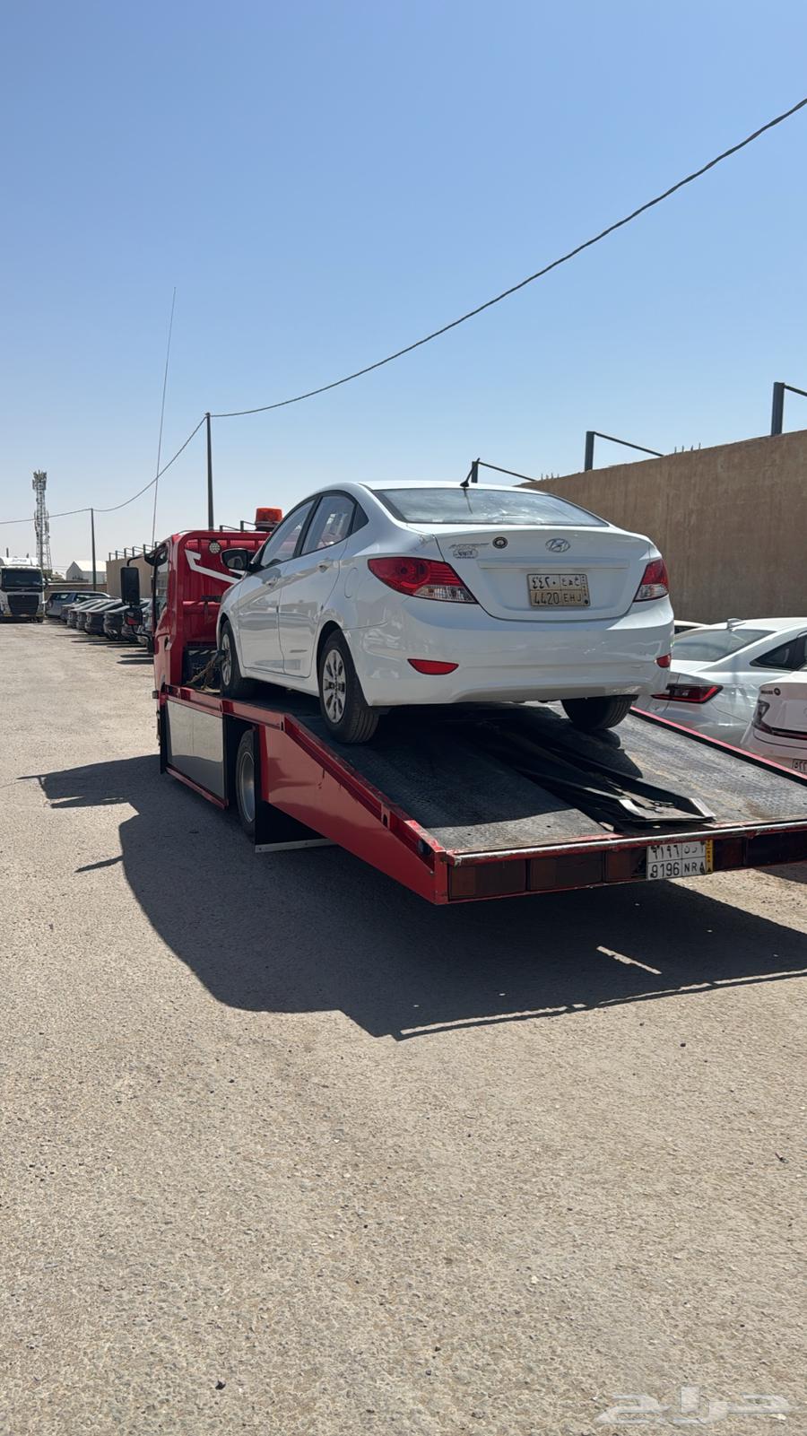 Surface of the wonders64226080266883111