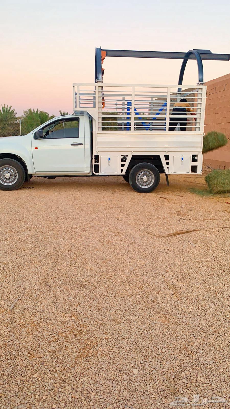 توصيل   حلال اوعفش داخل المملكه64229383286019111