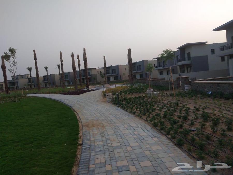 Installation and Maintenance of Irrigation Network Timers and Landscape Implementation and Maintenance64226082923267111