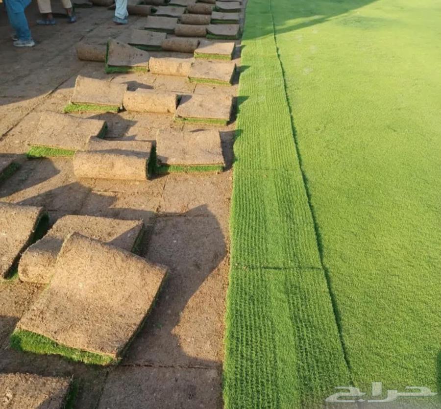 تنسيق حدائق وتركيب جميع انواع الثيل الصناعى والطبيعى64226080235906111