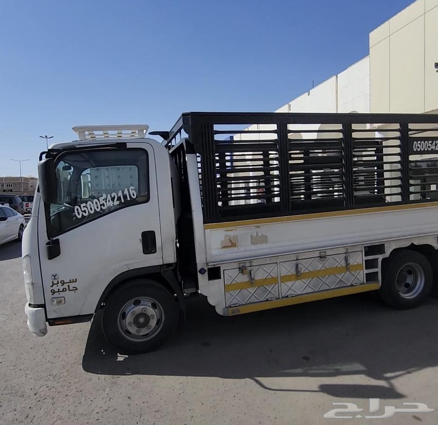 دينا نقل عفش64225861988225111