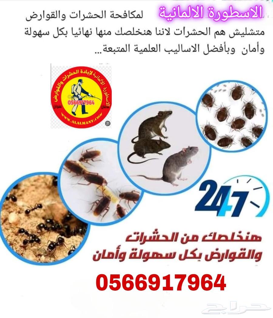 Pest Control Company - Pesticide Spraying, Insect Spraying, and Annual Contracts64228273927170113