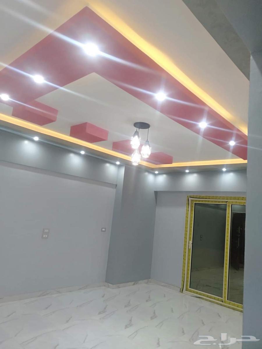 دهانات حوائط ديكورات اخشاب داخلي خارجي64228637418881114