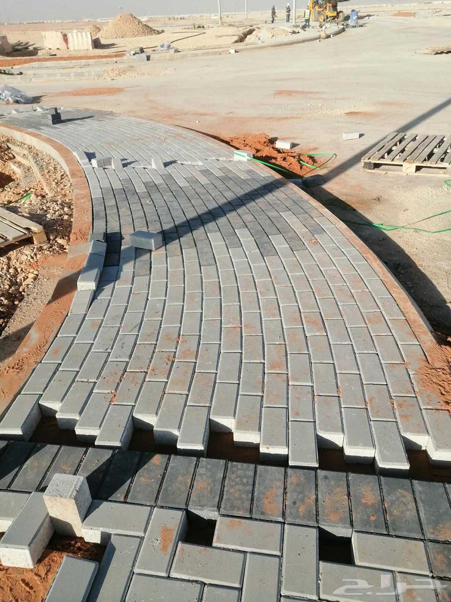 معلم بندورة وانترلوك وبلاط64229180934145111