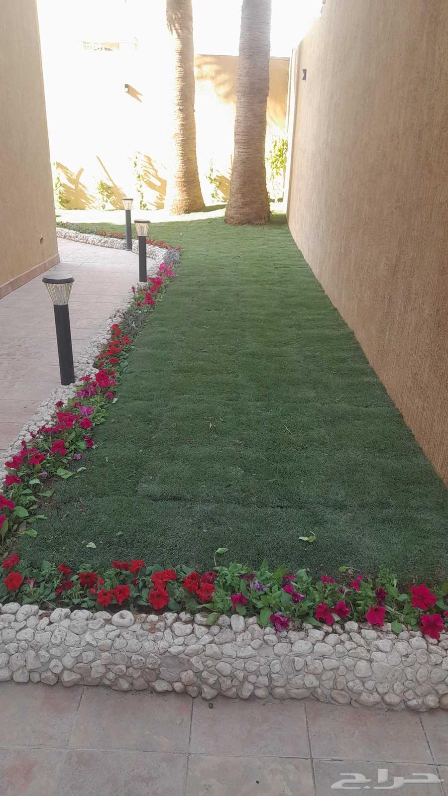 Nursery and landscape design, everything related to agriculture64240145826691110