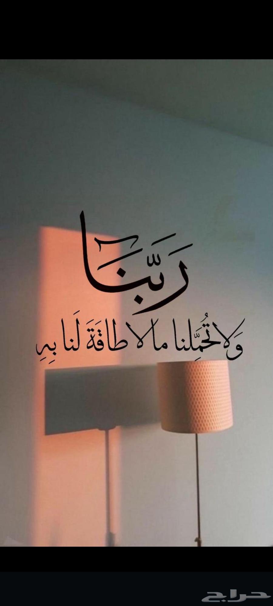 صباغ64229017789059114