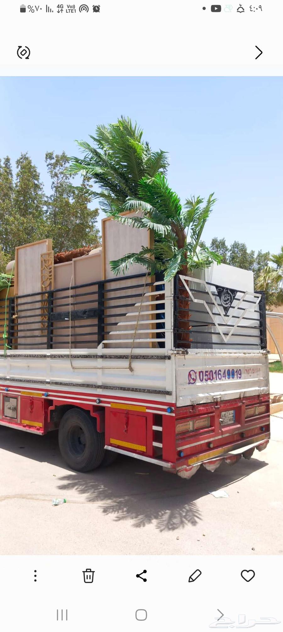 دينا نكل عبش دخل وخرج الرياض64229018243841110