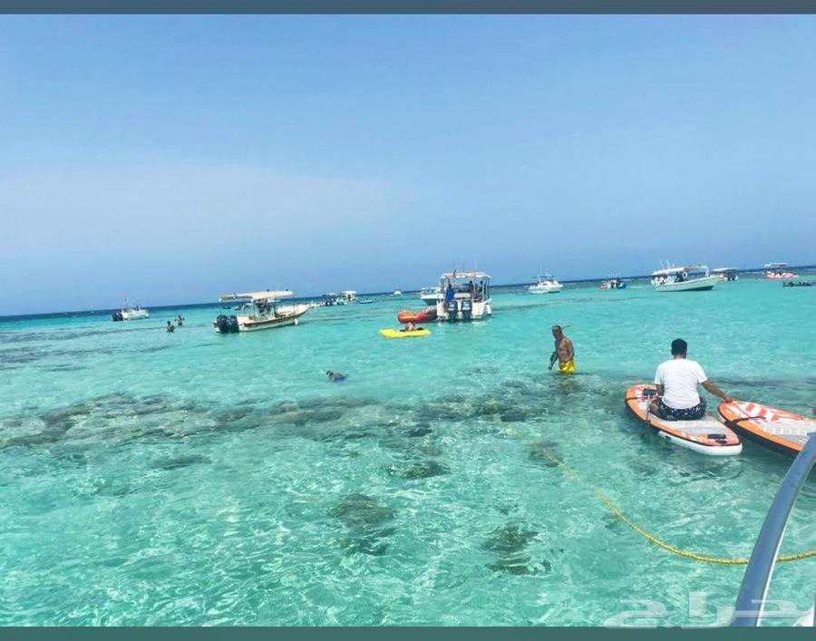 رحله بحريه رحلة صيد رحله بياضه64226080777345114