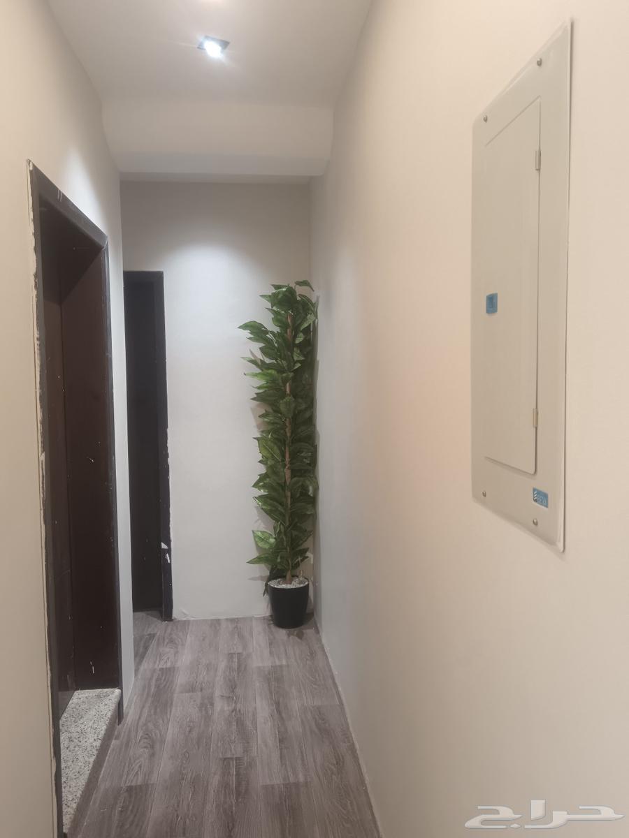 أنا معلم دهان بويا منقطعه حاىل64229556661505112