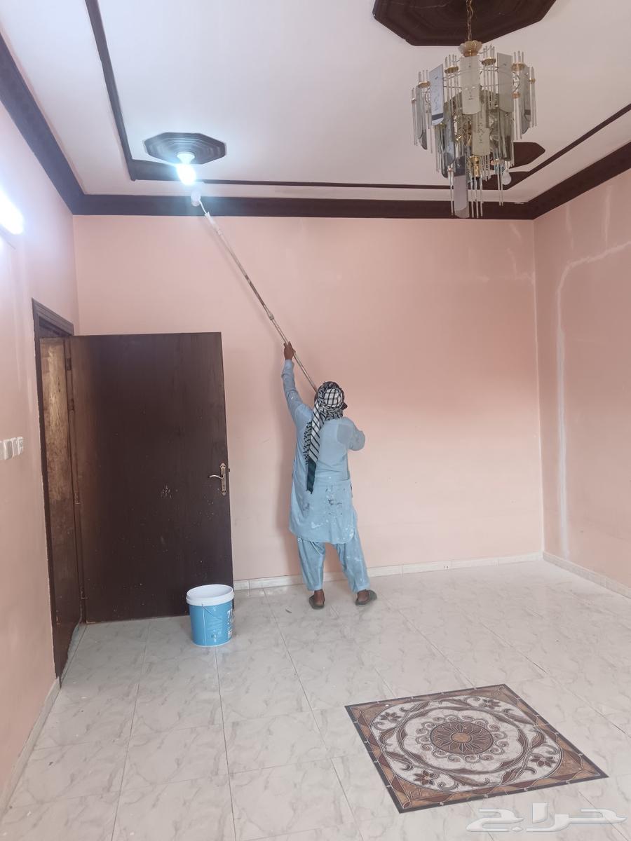 أنا معلم دهان بويا منقطعه حاىل64229556661505110