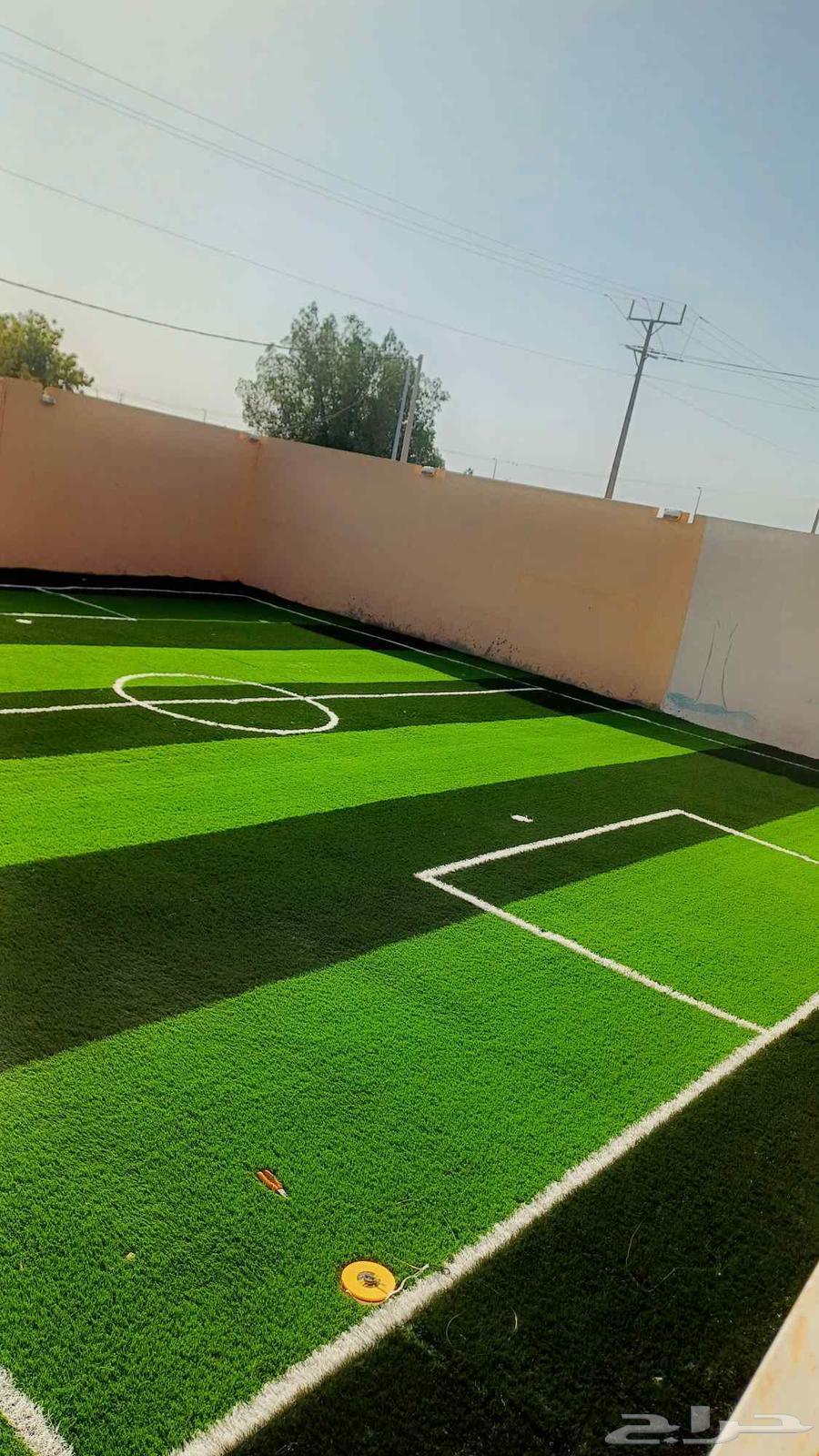 معلم نجيله64239966909058114