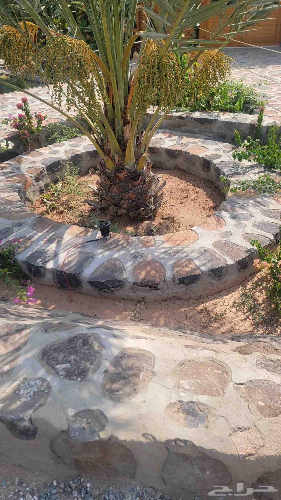 معلم حجر جميع انواع الحجر اثراثي وتصميمه64225862235393113