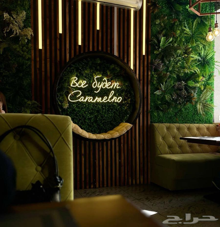 ديكورات داخليه وتنسيق حدائق بالعشب الصناعي64228465705219110