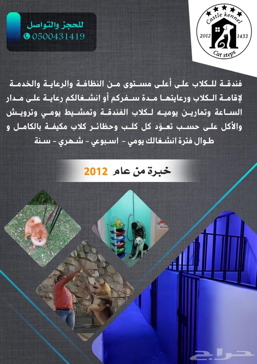 فندقة كلاب64225861231874111