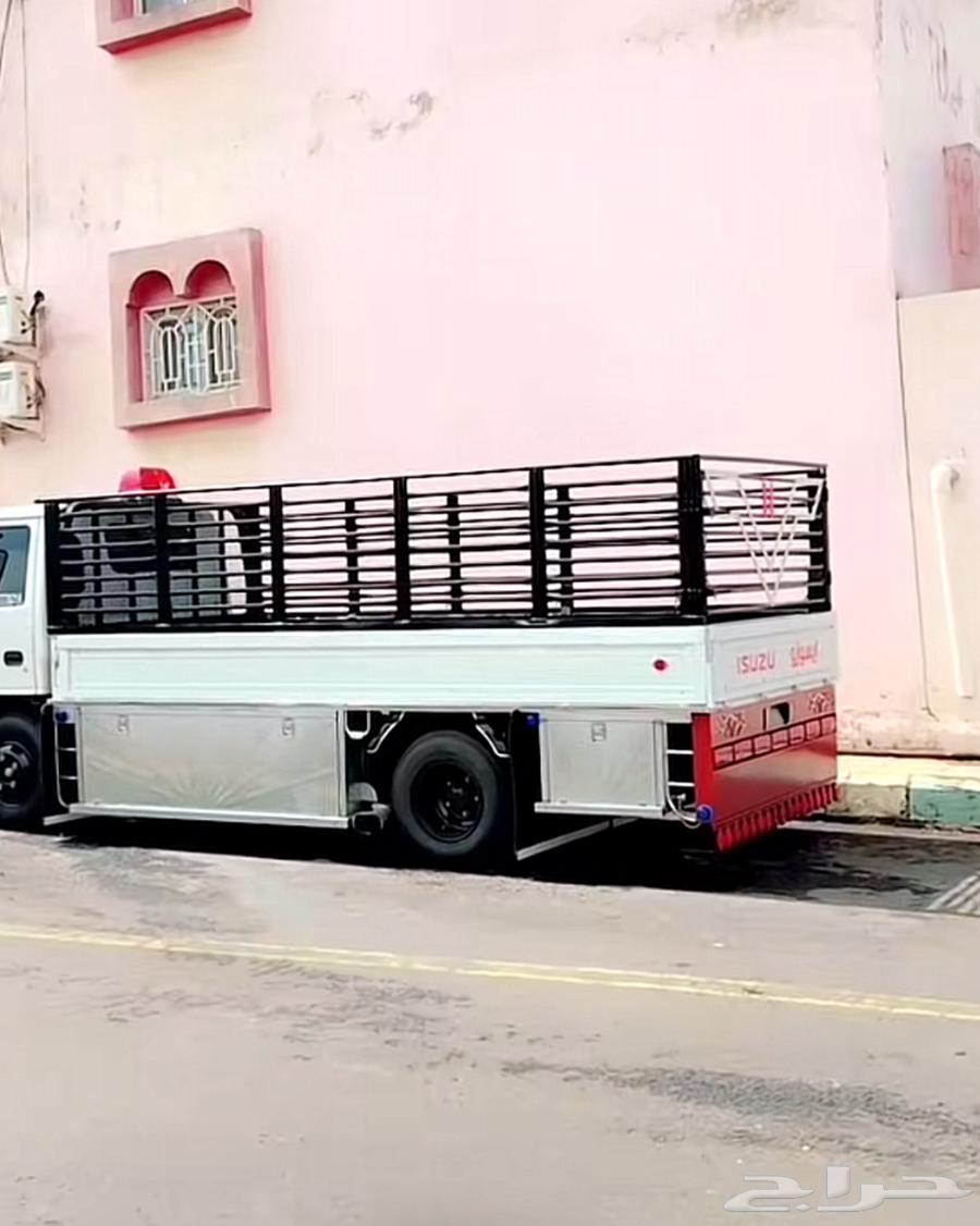 دينه نقل دينه جده دينا دينه64225065261697110