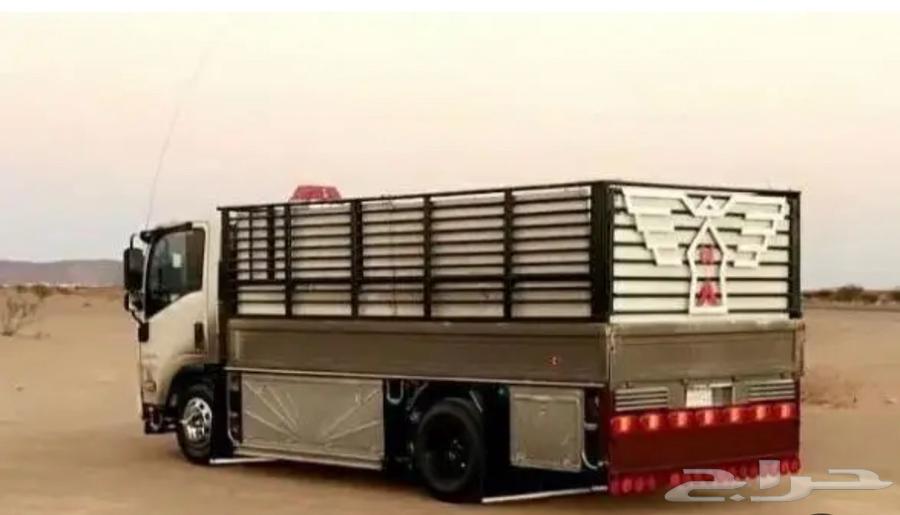 الايجارات دينا شبك64228826695682110