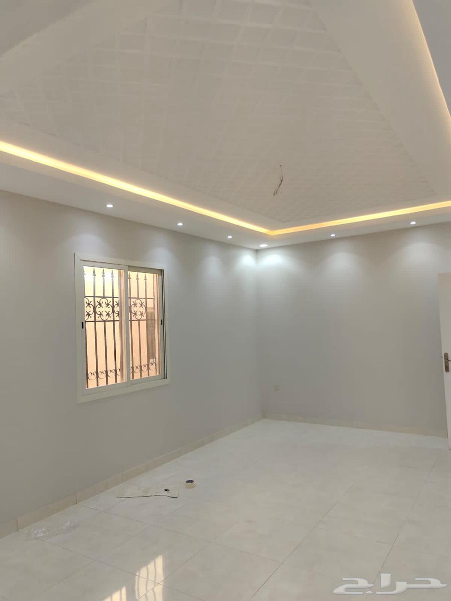 Tiler and painter for old and new, decoration and graffiti64239760157057113