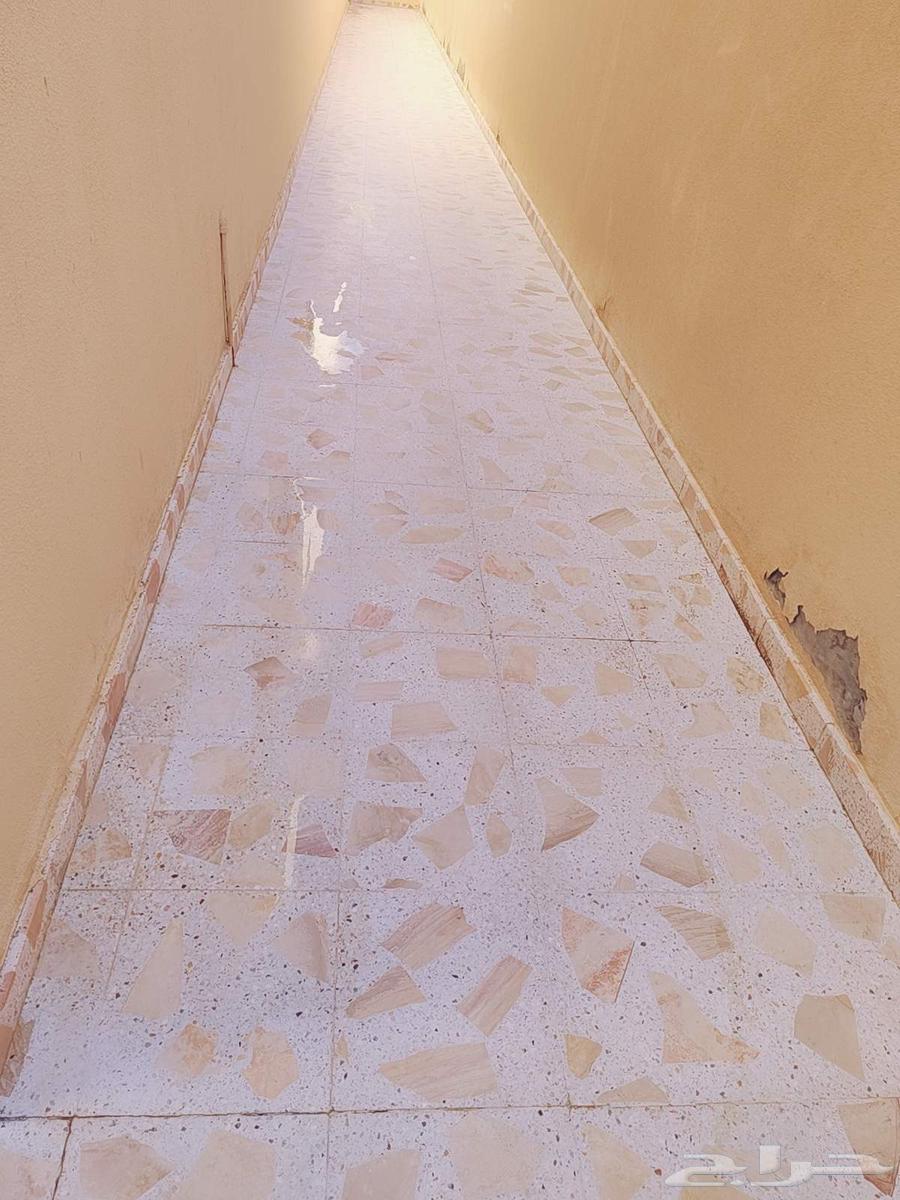 جلي بلاط روخام تلميغ64229386367106110